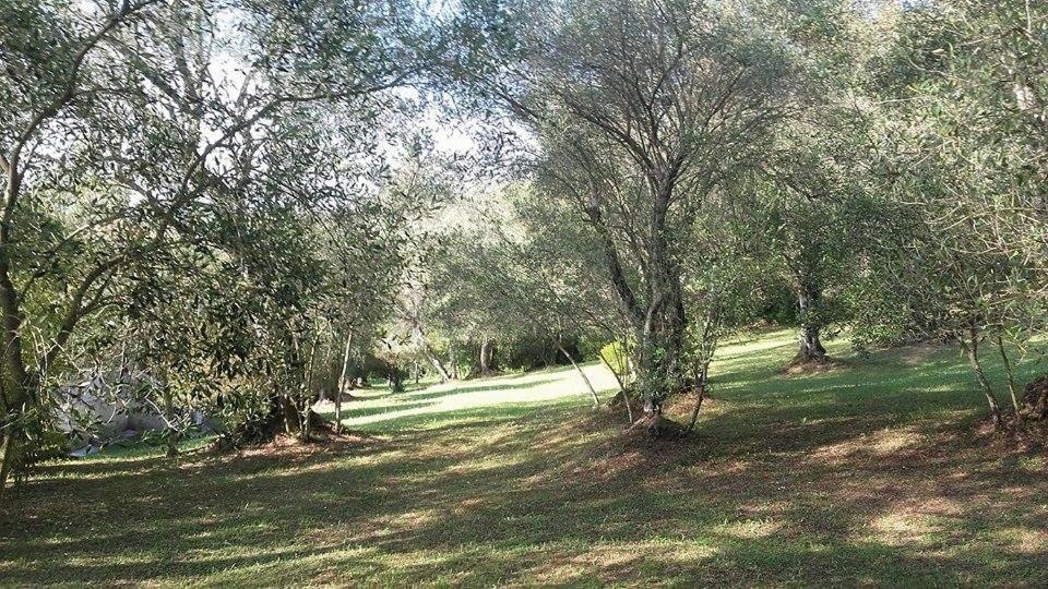 Karamali Green Danilia Villas Gouvia Zewnętrze zdjęcie